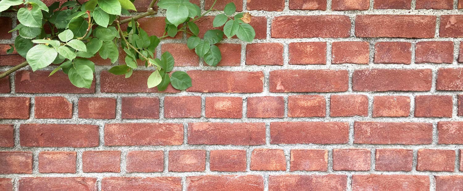 キービジュアルイメージ01